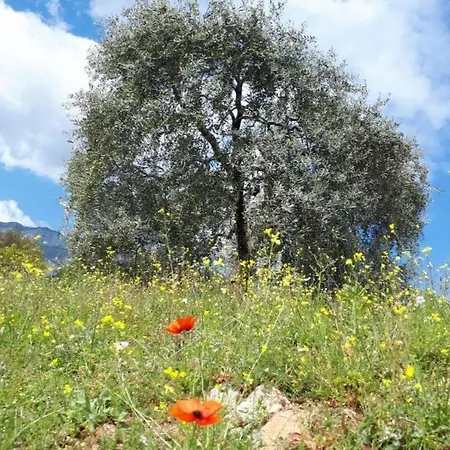 Holiday home Neues In Thasos Mit Grosser Terrasse